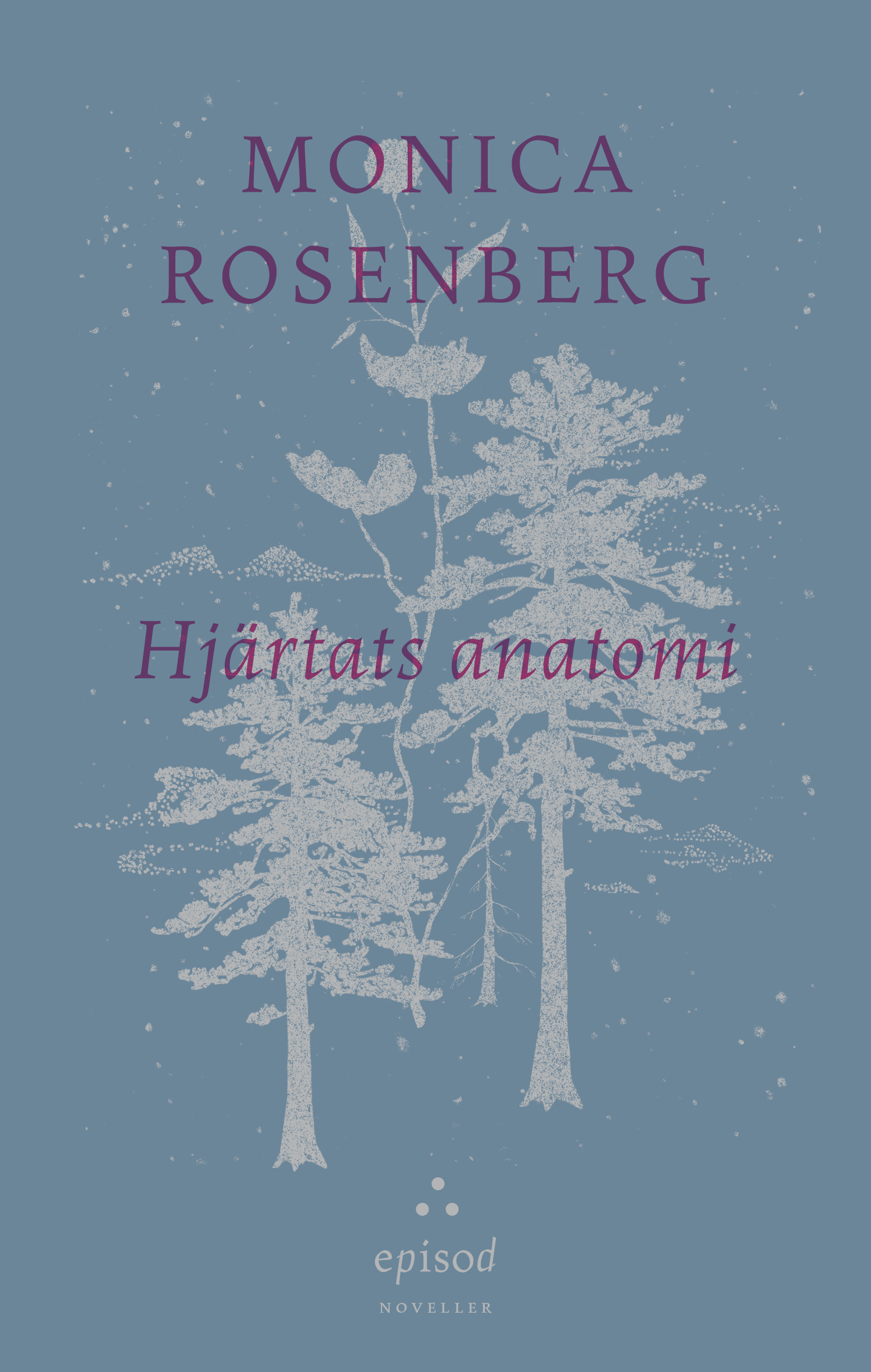 Omslag: Hjärtats anatomi av Monica Rosenberg
